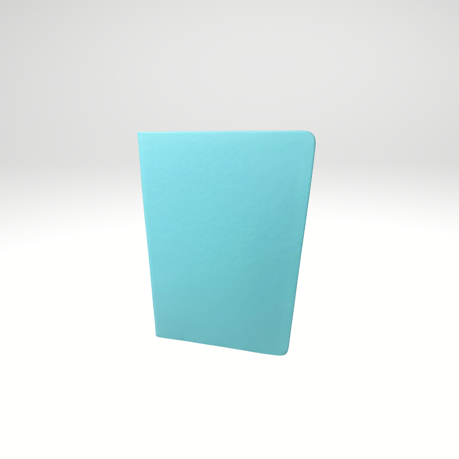 Lined Journal Notebooks